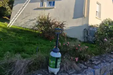 Artisan Elleouet Mickael Nettoyage De Facade A Nort Sur Erdre Traitement Antimousse Et Anti Algues